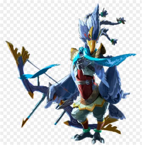 revali zelda|picture of ravali from zelda.